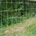 草原フェンス - ホットディップ亜鉛メッキKraalネットワークフェンス
